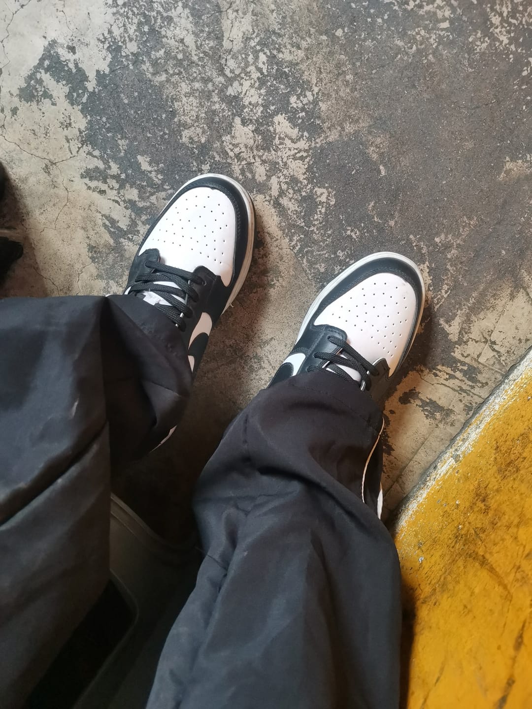Customer photo review of Tenis Dunk Low Vaquita