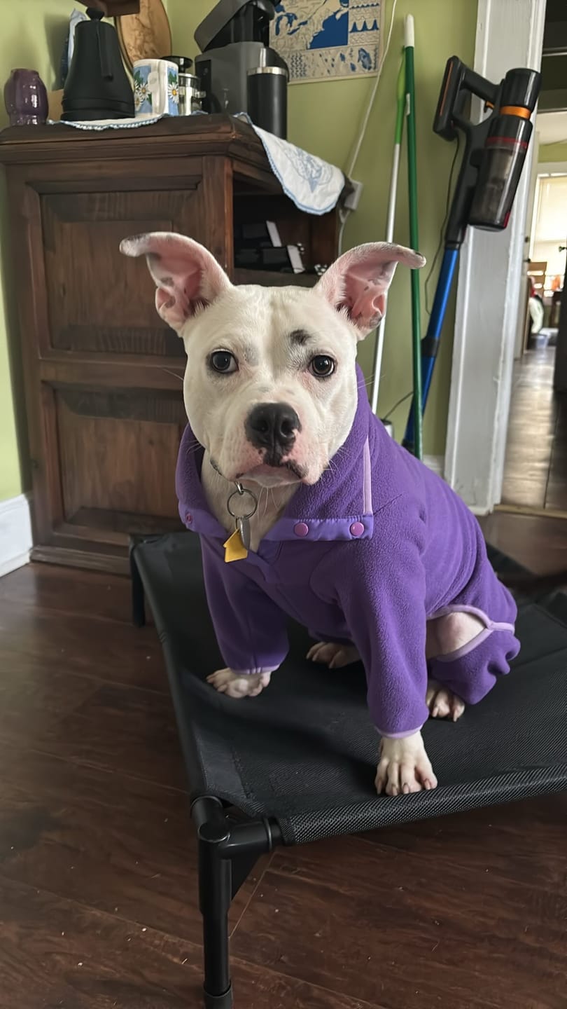 Customer photo review of NEW Fleece Pull-Over
