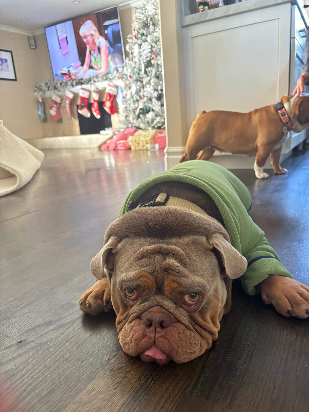 Customer photo review of NEW Fleece Pull-Over