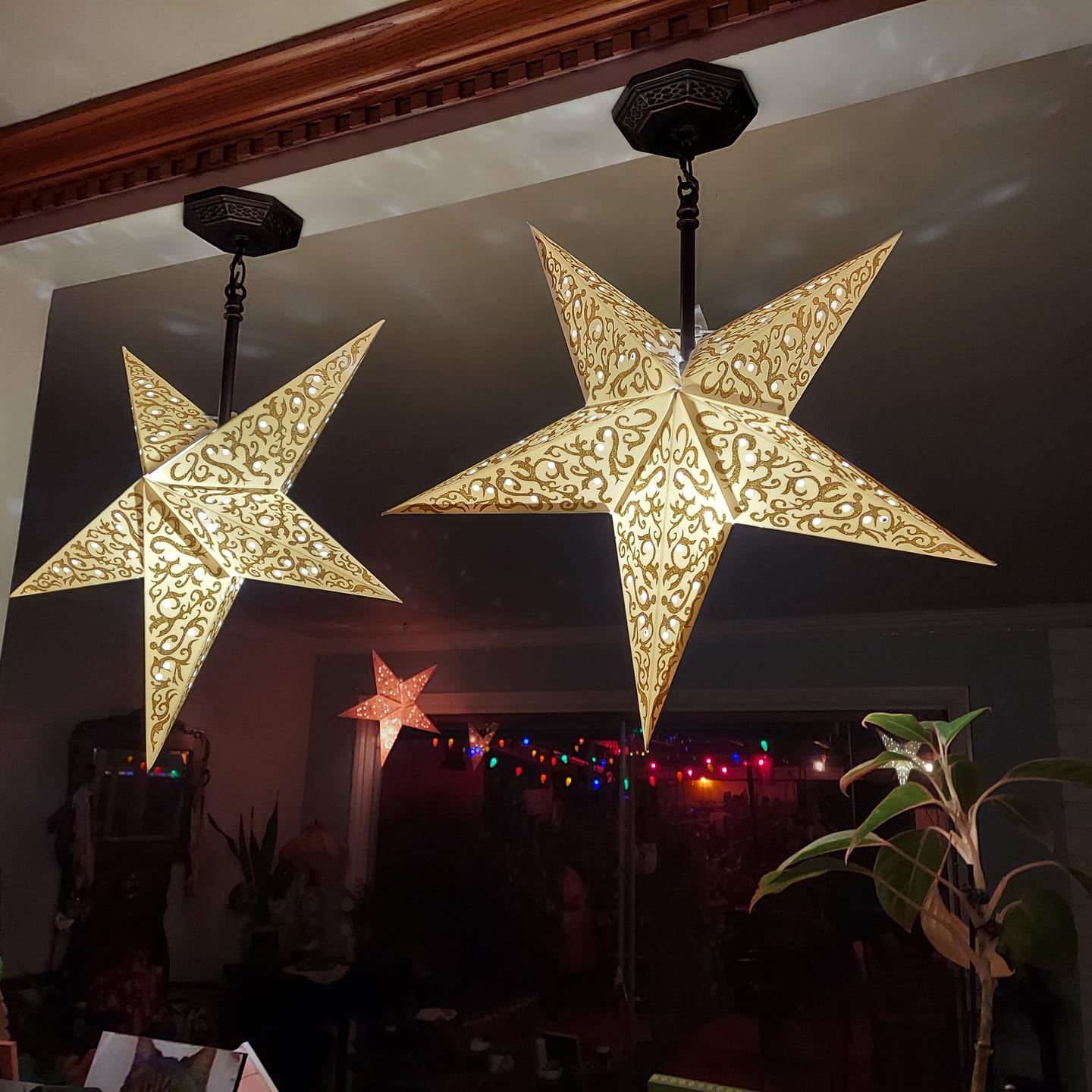 Customer photo review of 24" Gold Bramble Glitter Paper Star Lantern, Hanging