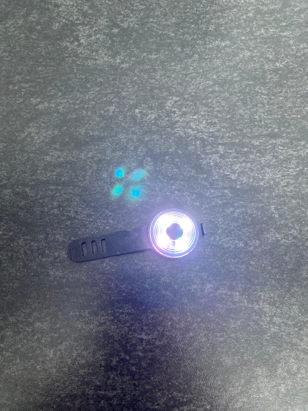 Customer photo review of Safety Light - 4-i-1 Lygte Til Hund