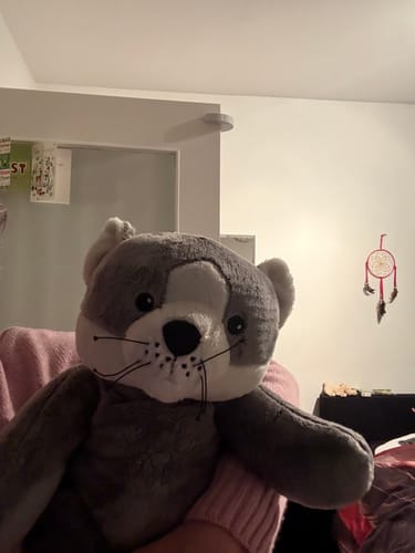 Customer photo review of Lotgenootje Kat 2kg