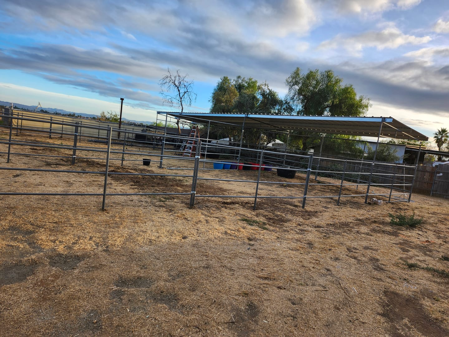 Customer photo review of Two 24x24 Stalls 4-Rail Side-by-Side with Two 12x24 Covers