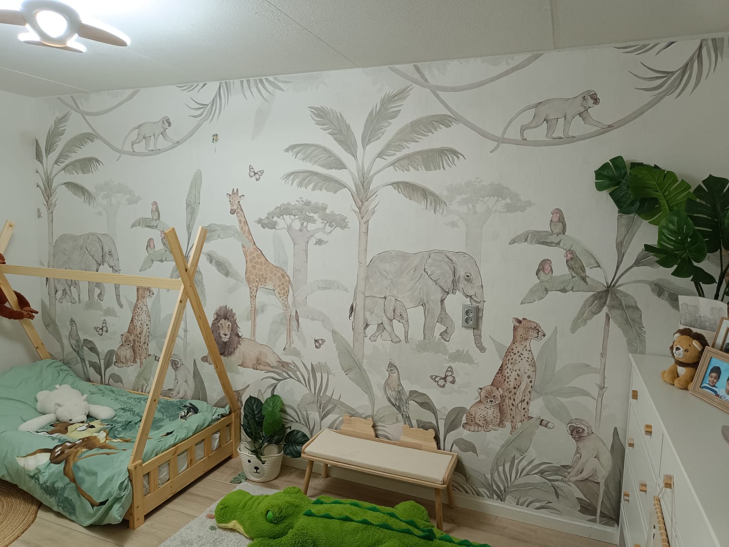 Customer photo review of African Safari Wallpaper Mural