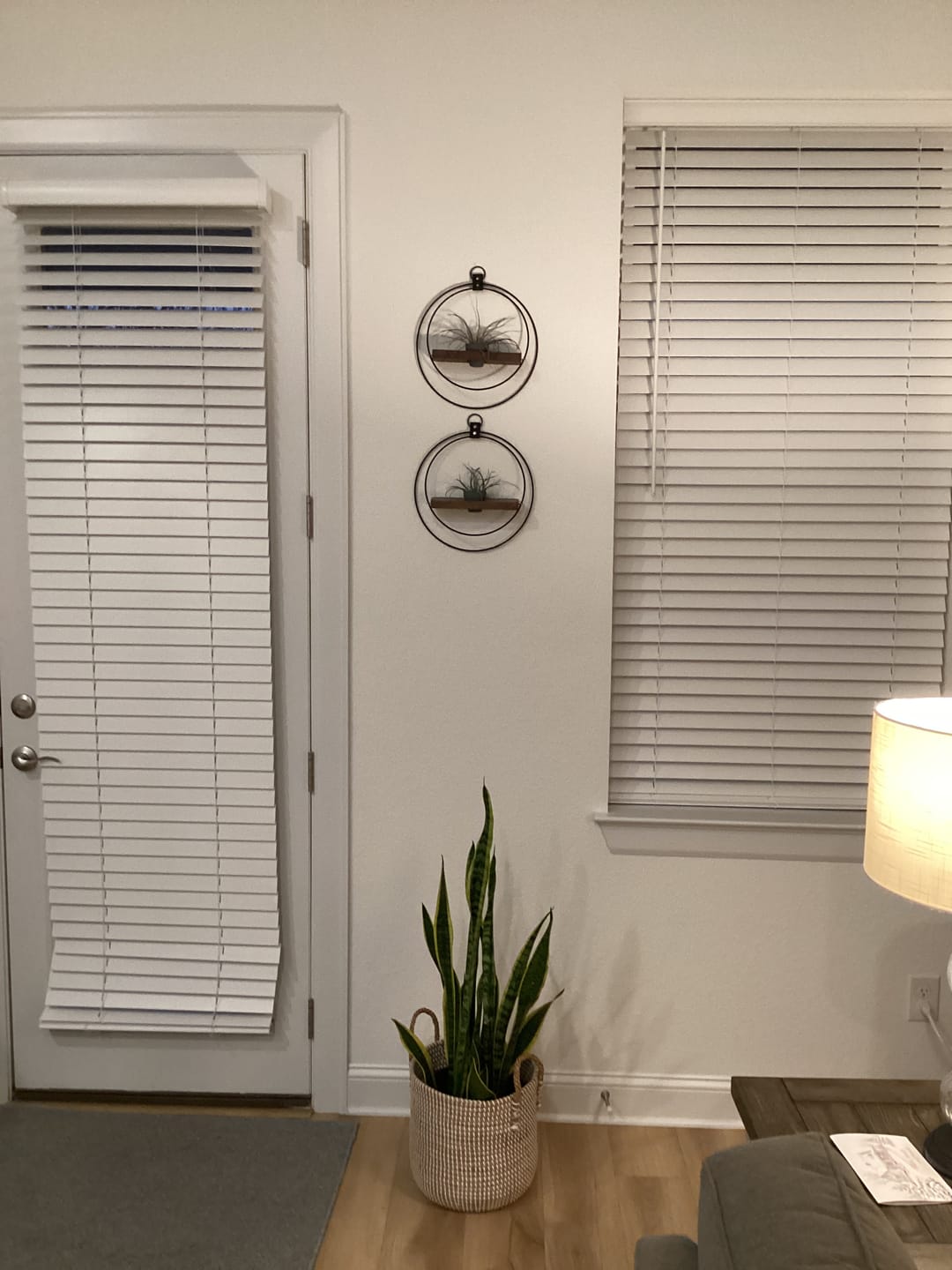 Customer photo review of Air Plant Shelf + Pot Duo