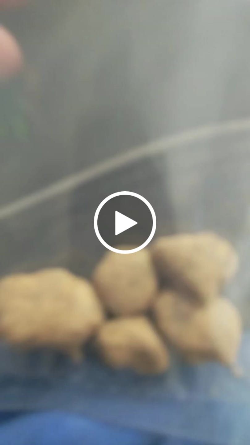 Customer video review of THX Moon Rocks - 70%