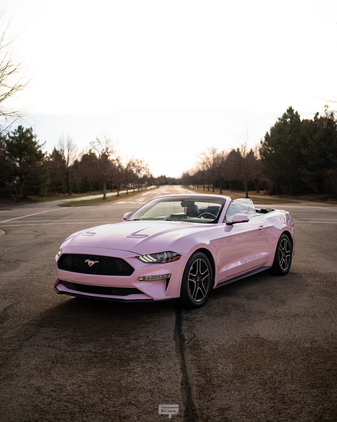 Customer photo review of High Glossy Baby Pink Vinyl Wrap