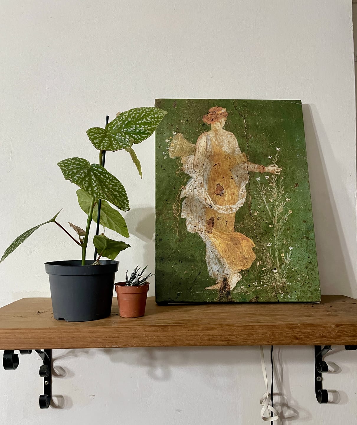 Customer photo review of Tela Flora di Stabiae