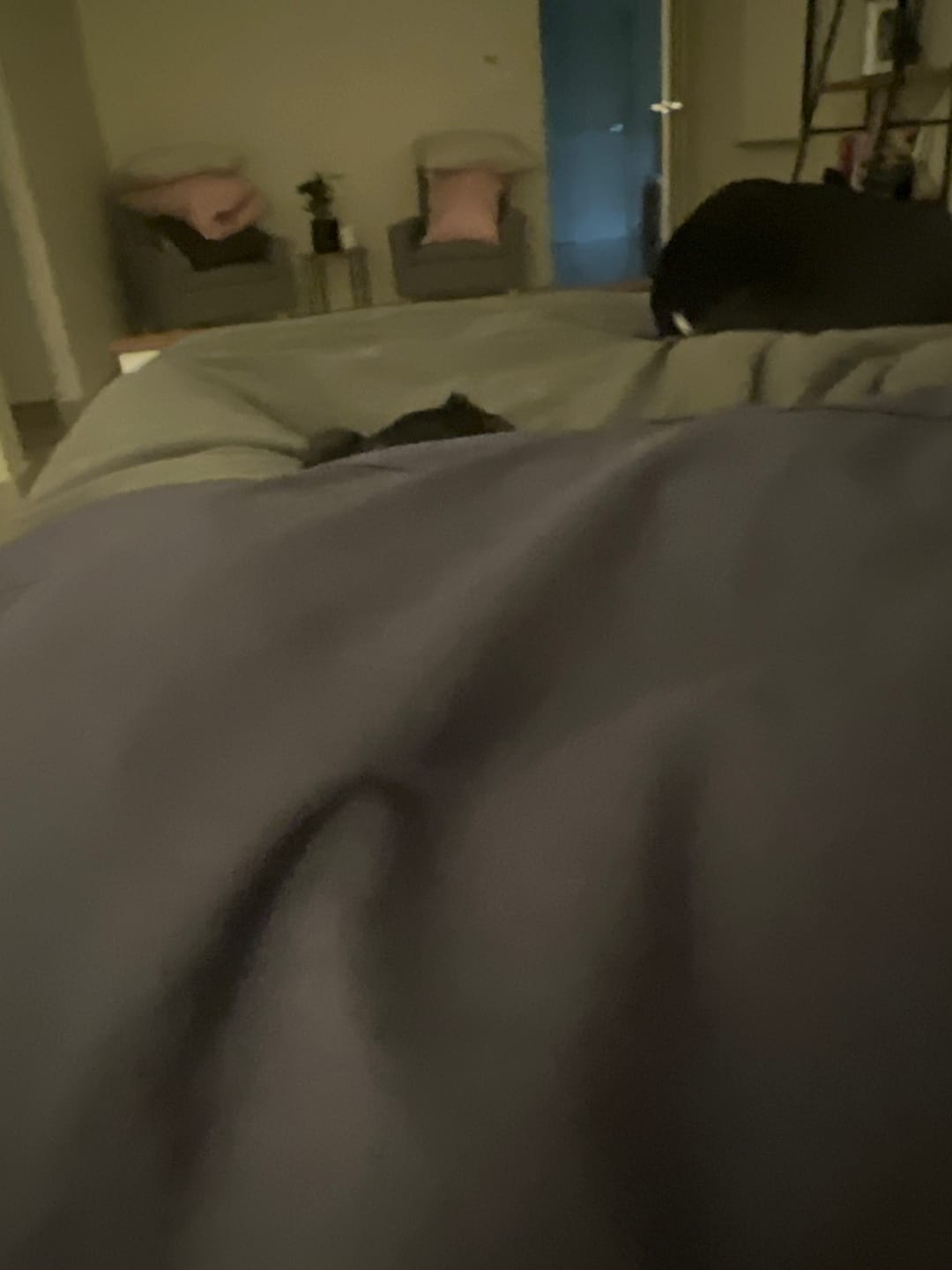 Customer photo review of Muscle Mat Easy-Make Luxury Bed Sheet Set