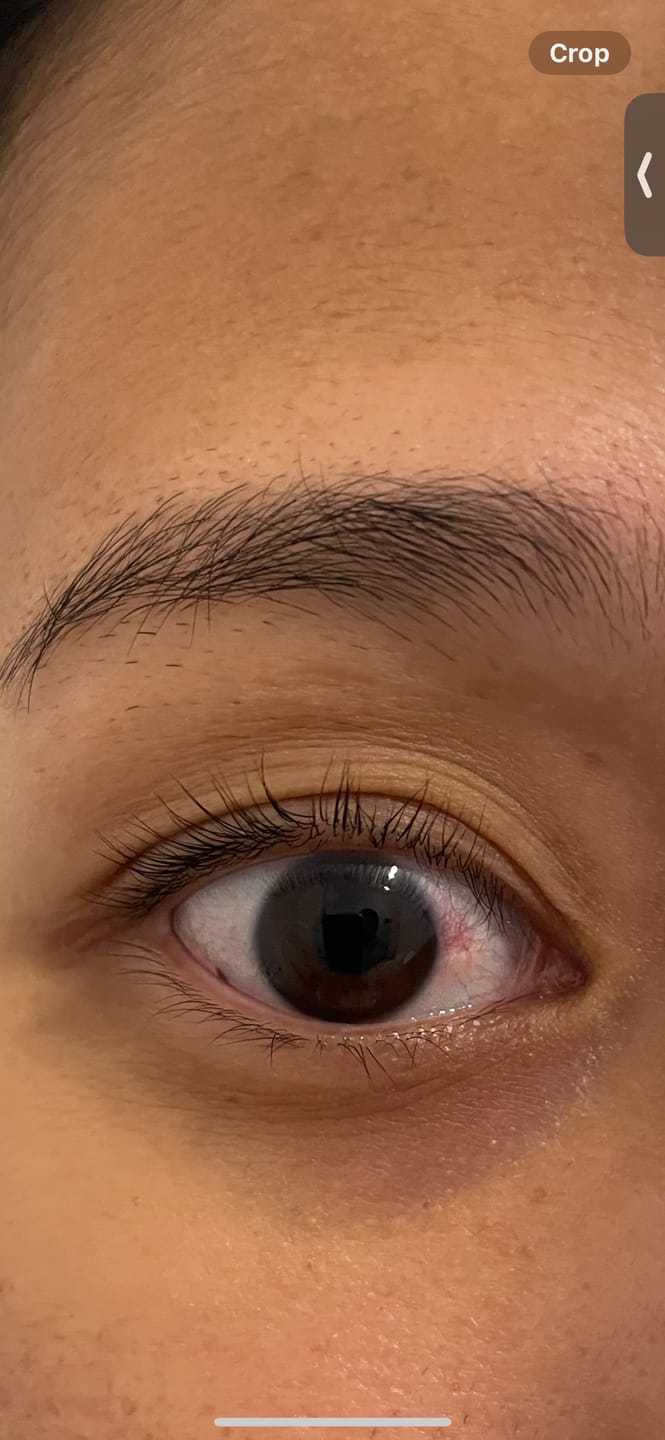 Customer photo review of Luxe Wimpernlifting Set (Kaufe 1 und erhalte 1 gratis dazu)