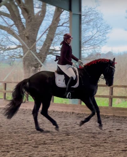 Customer photo review of SERENA - DRESSAGE SADDLE PAD | WHITE ROSE GOLD
