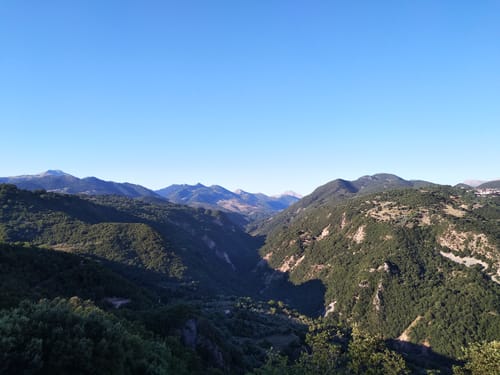 Customer photo review of Barrel-aged Premium Feta Erymanthos PDO (aged for 3 months in wooden barrel) - around 500g