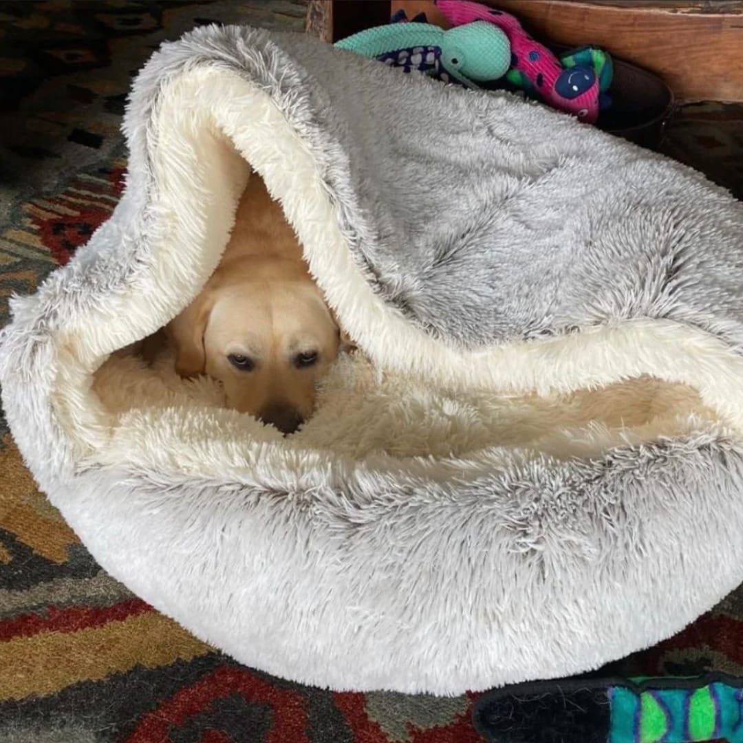 Customer photo review of CozyCave™ peti lemmikeille
