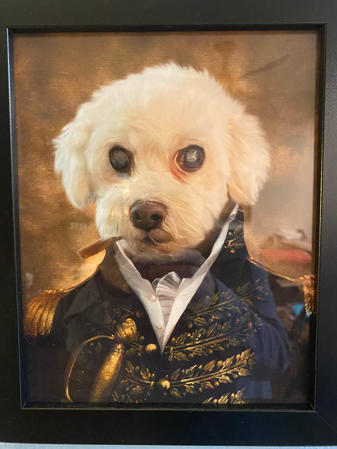 Customer photo review of The Prince Custom Pet Portrait