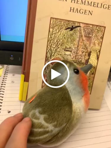 Customer video review of Birds with sound from Wild Republic