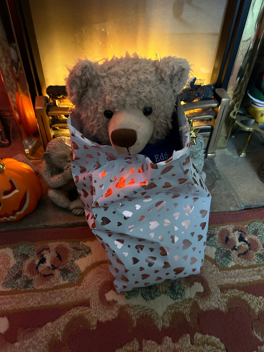 Customer photo review of Eddy The Teddy Bear