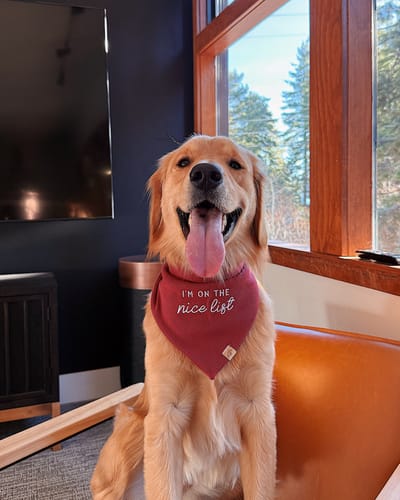 Customer photo review of Custom Saying Embroidered Bandana