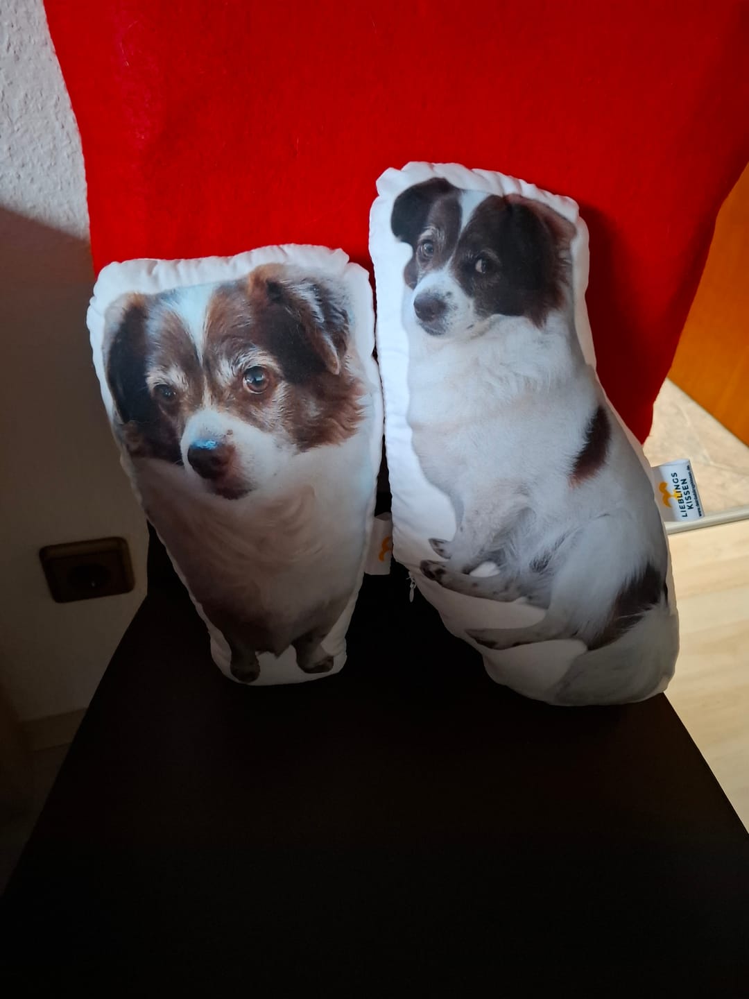 Customer photo review of Personalisiertes Hundekissen