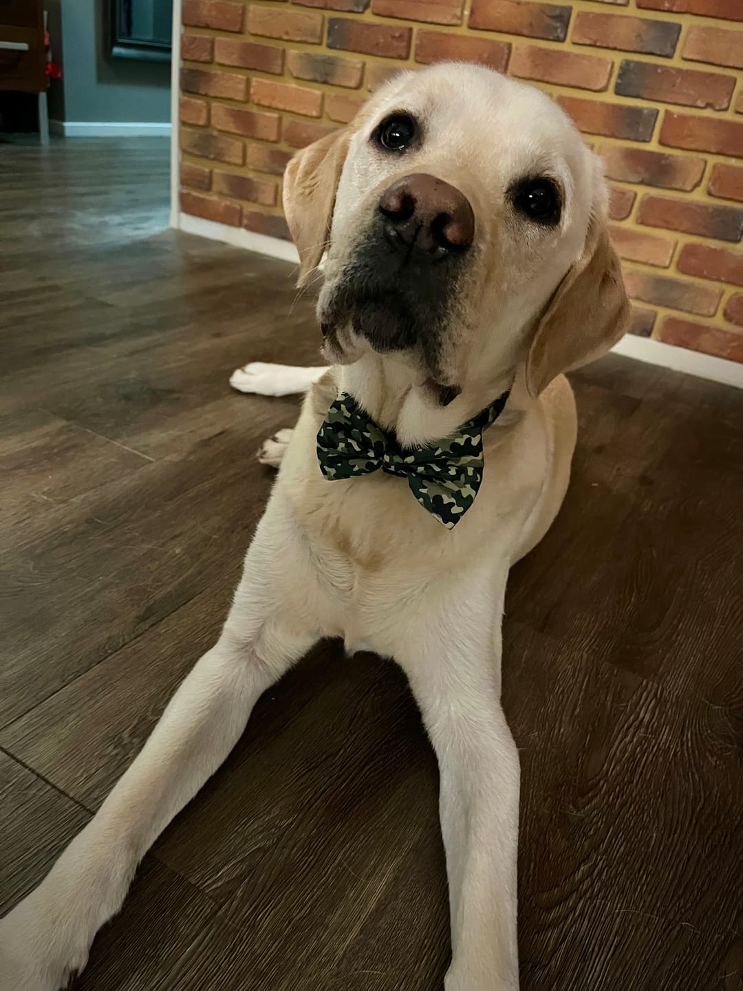 Customer photo review of Fluga - Green Camo