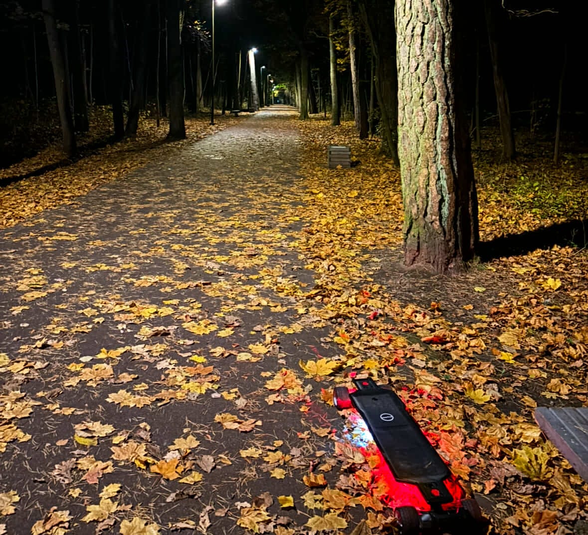 Customer photo review of MAXFIND FF BELT