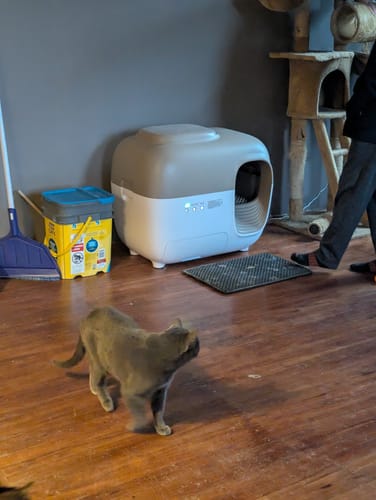 Customer photo review of Clumping Litter-Ready Smart Set (Litter Not Included)