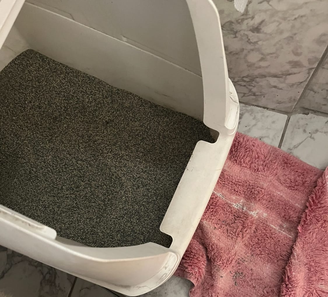 Customer photo review of Arena Minino 48kg - Carbón Activado [Nueva]