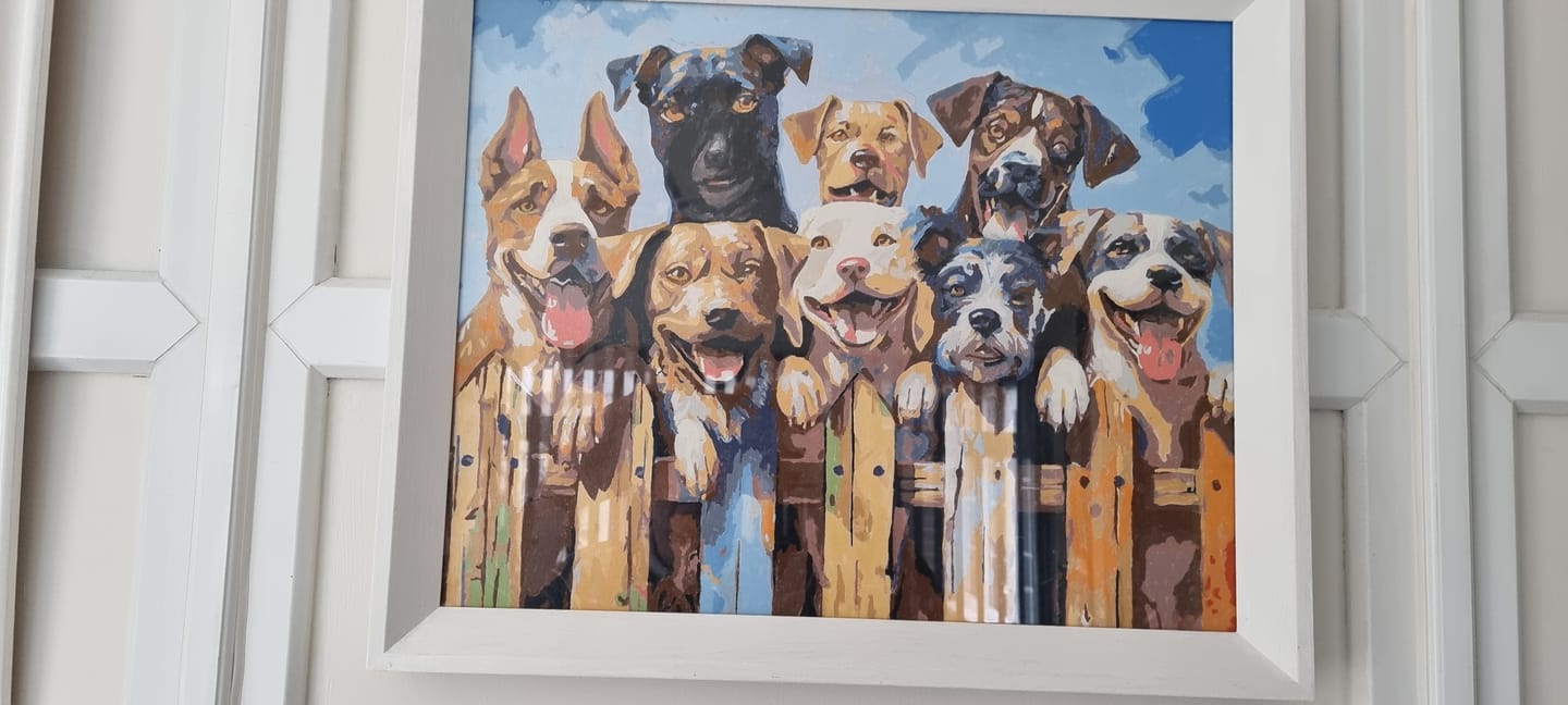 Customer photo review of Dog Days of Summer