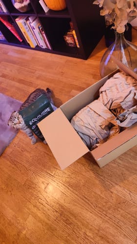 Customer photo review of Croquettes de volaille riches en ingrédients frais (chaton)