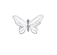 Customer photo review of BUTTERFLY EARRING (STUD)