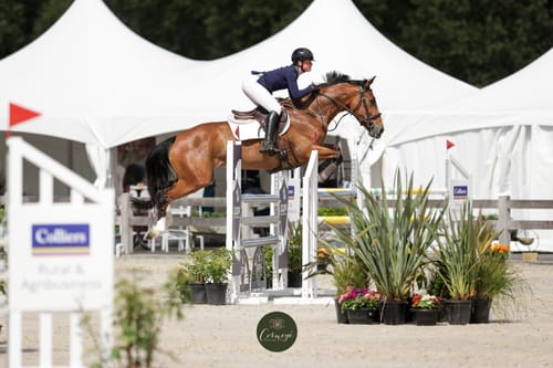 Customer photo review of Equine America Cortaflex HA Super Fenn Powder