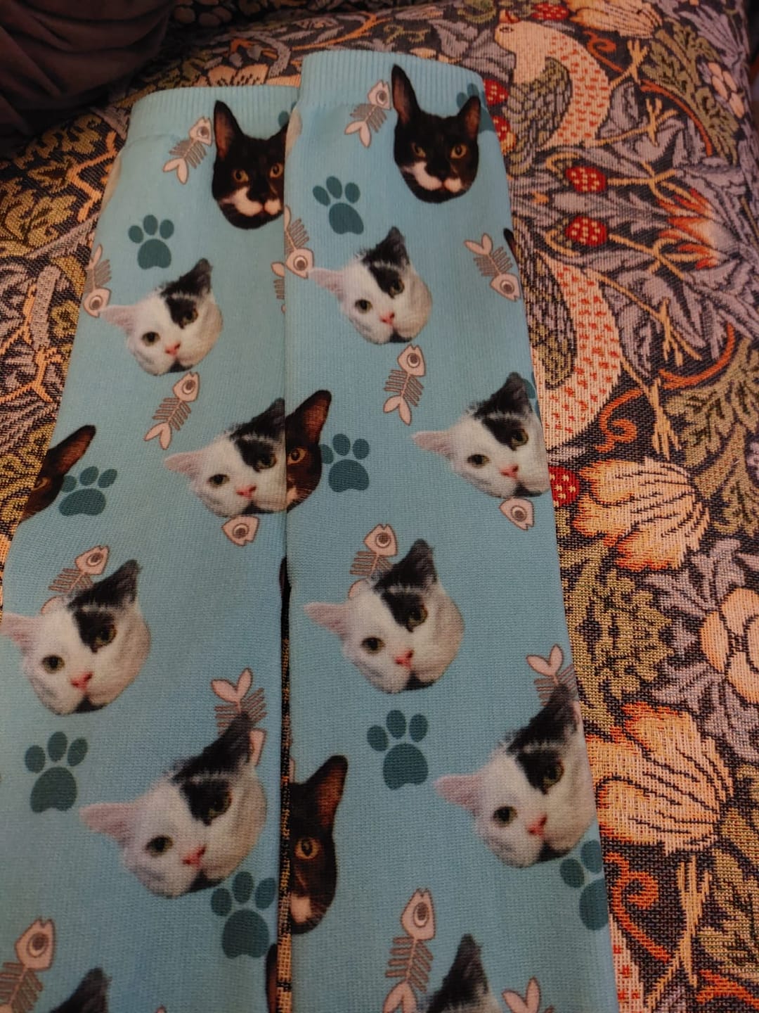 Customer photo review of FaceSock | Custom Cat Socks With Photo