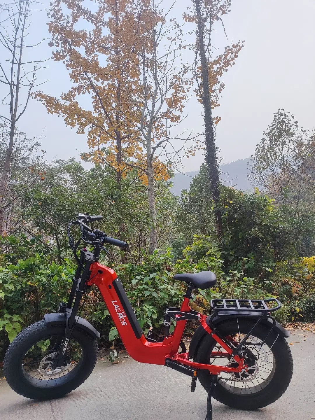 Customer photo review of Cyclone