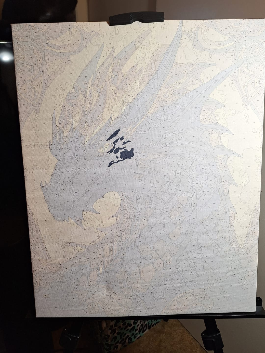 Customer photo review of Dragon Portrait