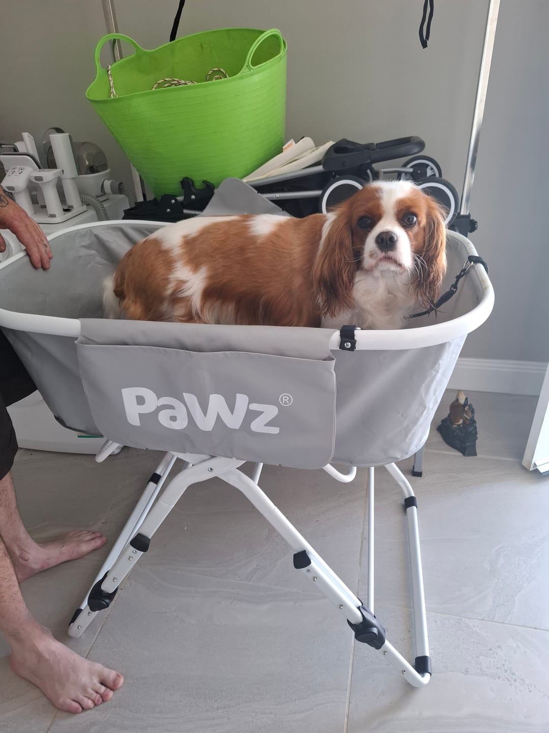 Customer photo review of PaWz Pet Bathtub Adjustable Height Folding Basin