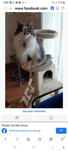 Customer photo review of PUPVOTE: 2025 Cutest Pet Calendar (Official Edition)