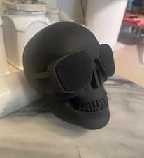 Customer photo review of Just Love Skulls Speaker