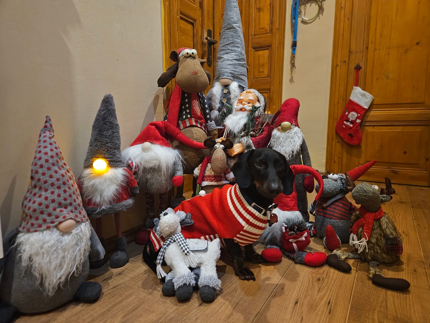 Customer photo review of Lieber Hundepapa - Individuelle Tasse