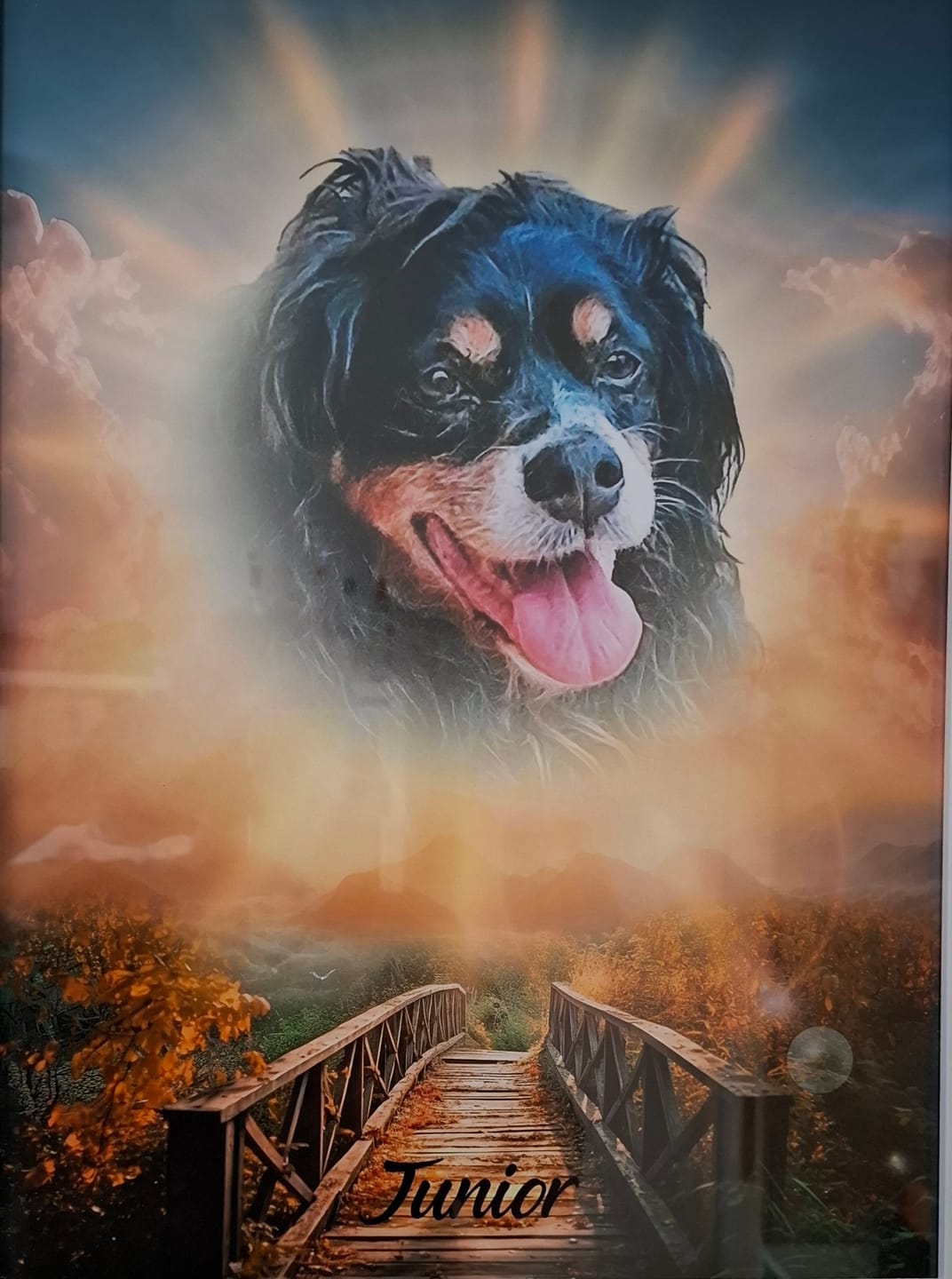 Customer photo review of Personalisiertes Portrait - Sonnen Stil