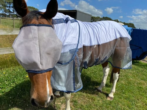 Customer photo review of LE Defender Fly Boots