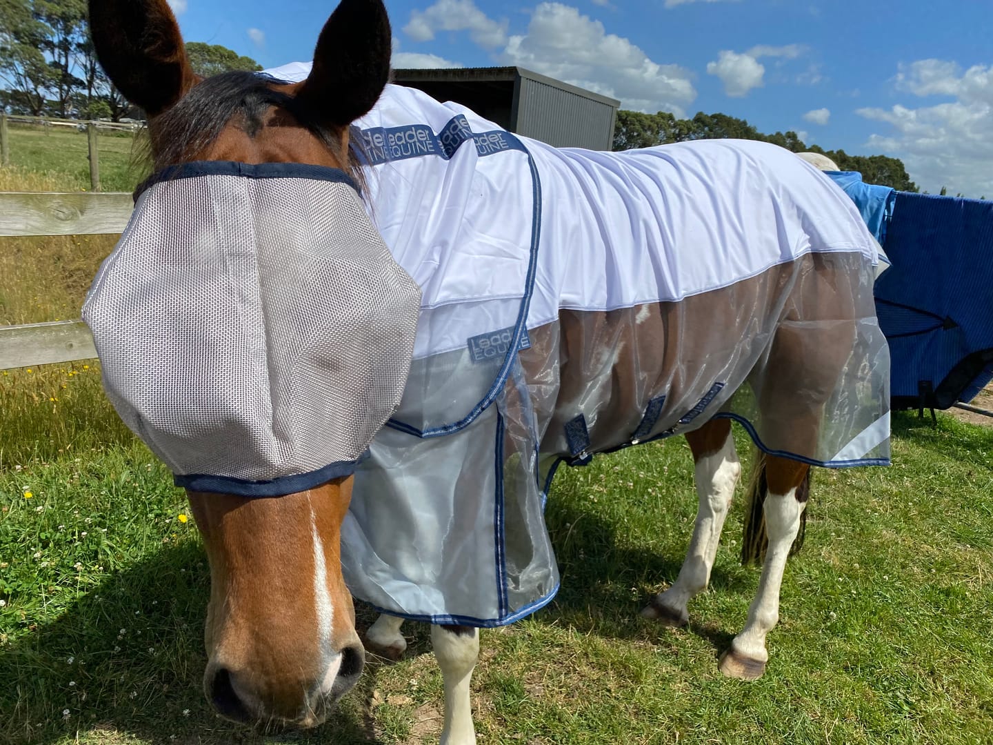 Customer photo review of LE Defender Fly Boots