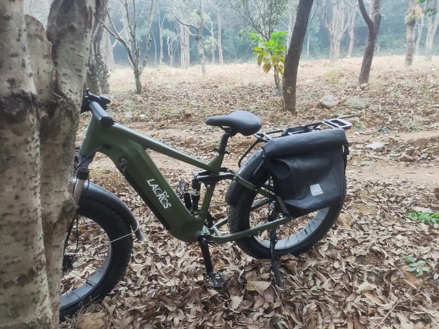 Customer photo review of Thunder