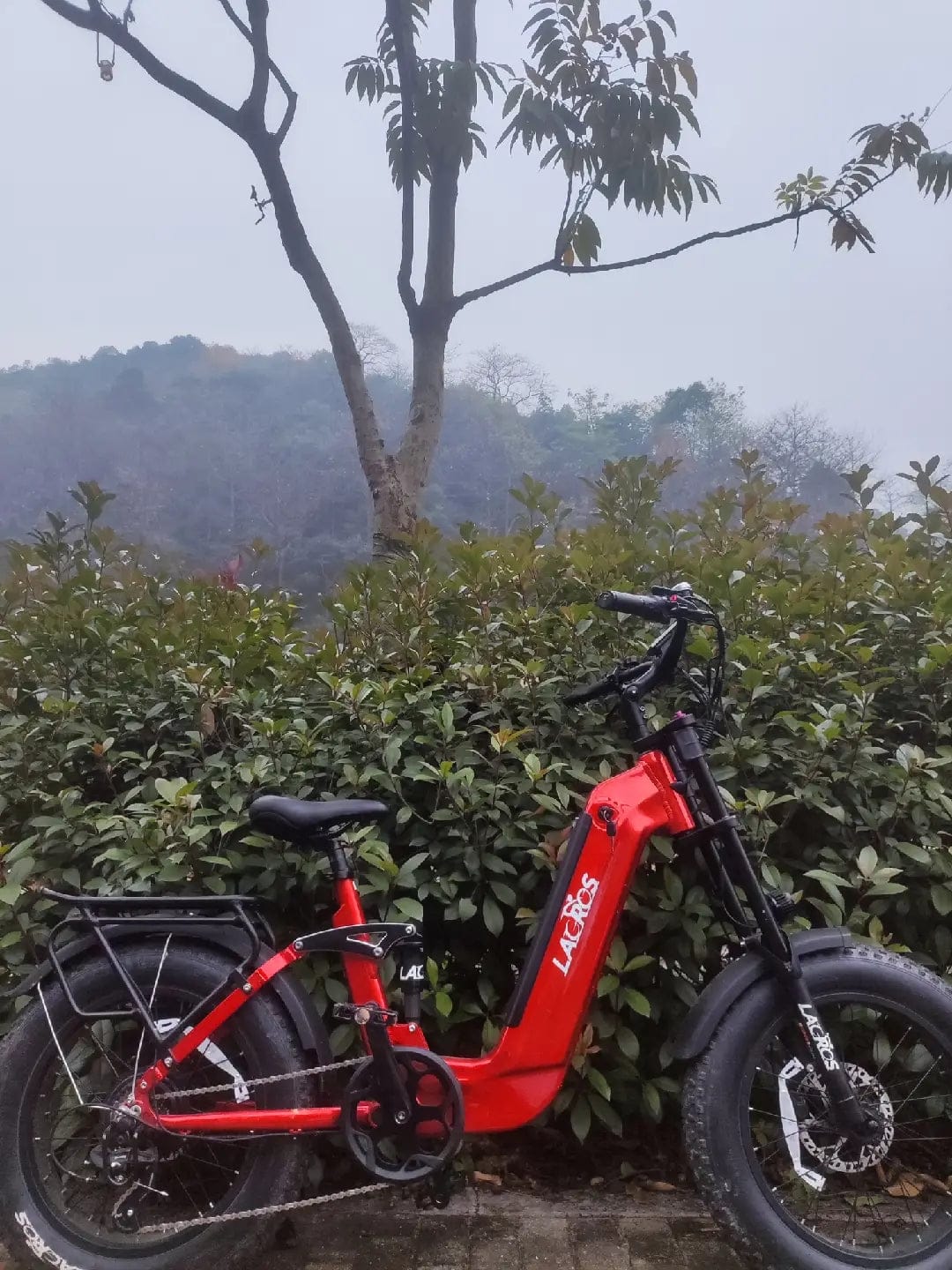 Customer photo review of Cyclone