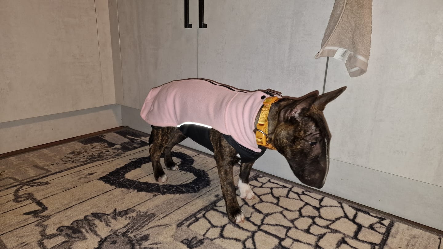 Customer photo review of Dog Fleece With Zip - Pink