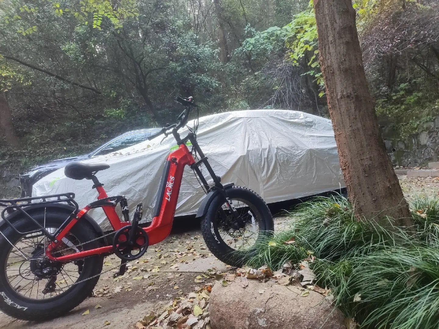 Customer photo review of Cyclone
