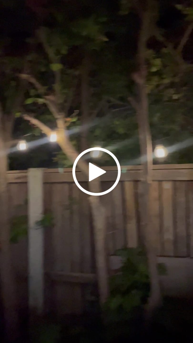 Customer video review of Solar Mini Bulb String Lights - Black
