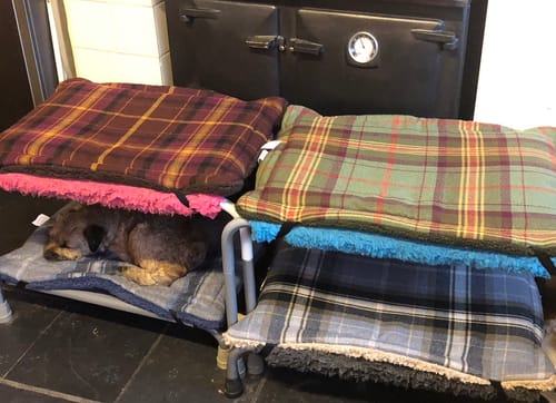 Customer photo review of 50% OFF Norwich Check & Navy Sherpa Light Weight Luxury Reversible Pad