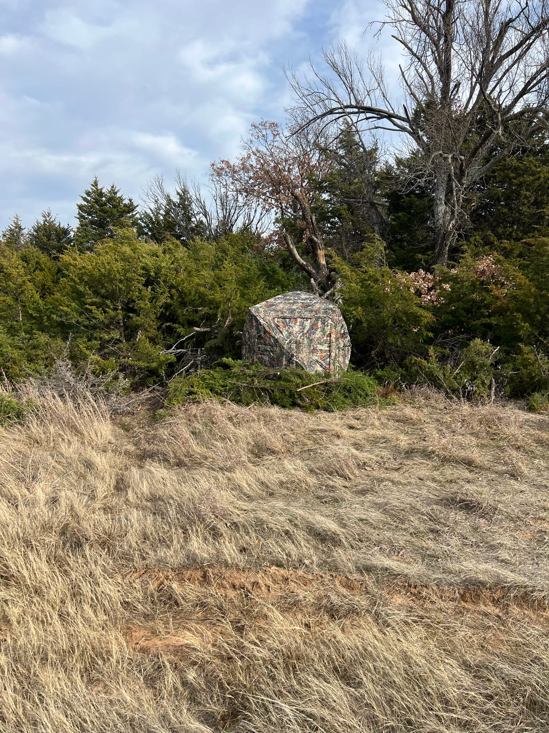 Customer photo review of VisST See-Through Pop-Up Ground Blinds with Silent Magnetic Door