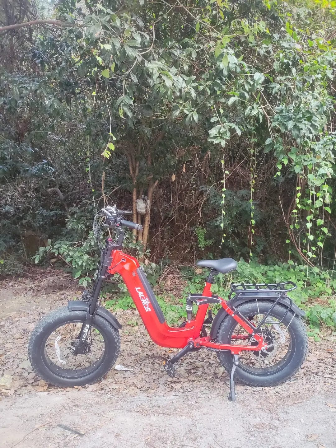 Customer photo review of Cyclone