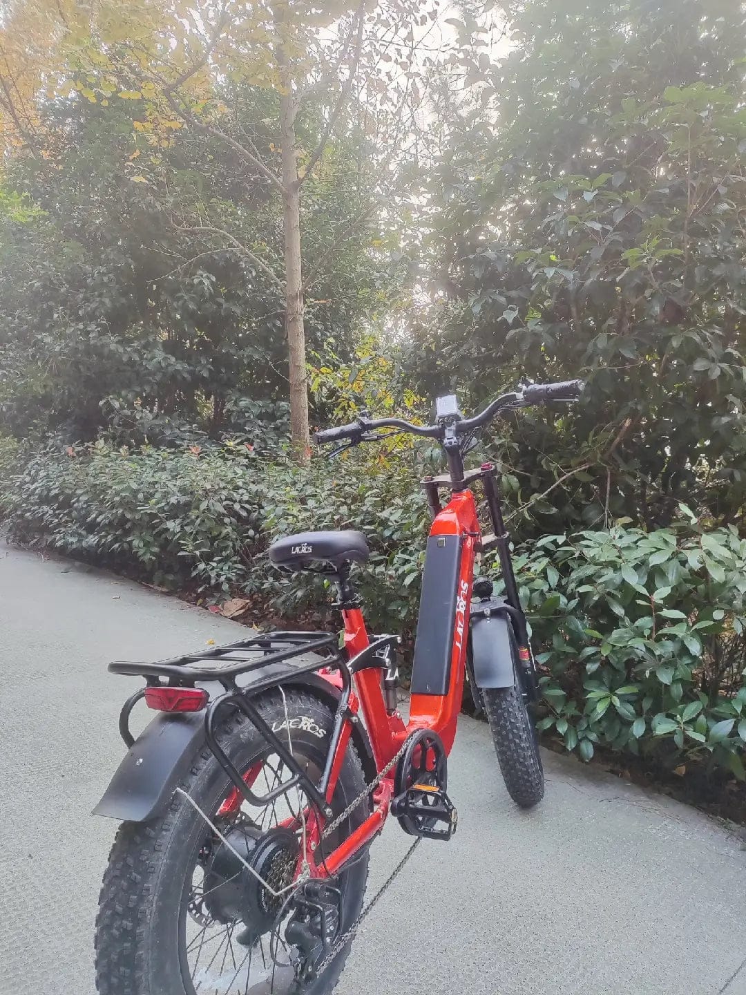 Customer photo review of Cyclone