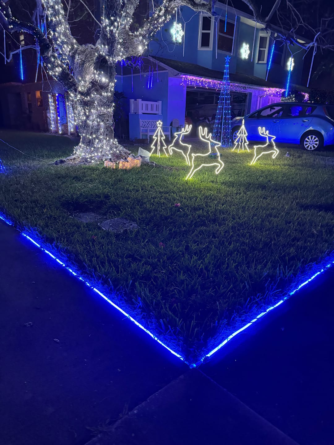 Customer photo review of LED Neon Rope Light, 120V, UL Listed, Waterproof IP65 RATED, >80 CRI, Neon Flex (Blue, Green, Red, Pink)